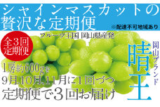 ぶどう 定期便3回［2024年］9月・10月・11月発送 シャインマスカット 晴王 1房 約600g 岡山県産[№5735-1681]