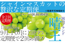 ぶどう 2025年 先行予約 9月・10月発送 シャイン マスカット 晴王 1房 約600g ブドウ 葡萄  岡山県産 国産 フルーツ 果物 ギフト[№5735-1680]