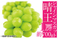 ぶどう 2025年 先行予約 シャイン マスカット 晴王 1房 約700g ブドウ 葡萄  岡山県産 国産 フルーツ 果物 ギフト[№5735-1684]