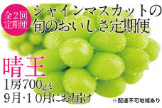 ぶどう 2025年 先行予約 9月・10月発送 シャイン マスカット 晴王 1房 約700g ブドウ 葡萄  岡山県産 国産 フルーツ 果物 ギフト[№5735-1686]