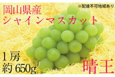 ぶどう 2025年 先行予約 シャイン マスカット 晴王 1房 約650g  ブドウ 葡萄  岡山県産 国産 フルーツ 果物 ギフト[№5735-1690]