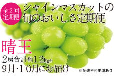 ぶどう 2025年 先行予約 9月・10月発送 シャイン マスカット 晴王 2房（合計約1.2kg） ブドウ 葡萄  岡山県産 国産 フルーツ 果物 ギフト[№5735-1688]