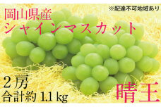 ぶどう 2025年 先行予約 シャイン マスカット 晴王 2房（合計約1.1kg） ブドウ 葡萄  岡山県産 国産 フルーツ 果物 ギフト[№5735-1691]