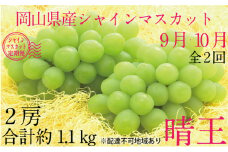 ぶどう 2025年 先行予約 9月・10月発送 シャイン マスカット 晴王 2房（合計約1.1kg） ブドウ 葡萄  岡山県産 国産 フルーツ 果物 ギフト[№5735-1694]