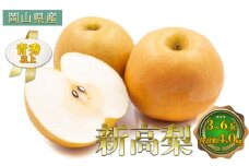 梨 2025年 先行予約 新高梨 3～6玉 青秀以上 合計約4.0kg 梨 なし 果物 フルーツ 岡山県産 化粧箱入り 大きさ 形 おいしさ 梨の王様 大玉 甘い みずみずしく 上品 風味 シャリシャリ 食感  [№5735-1798]