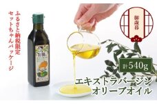 【年末発送！】御歳暮 オーガニック 有機 オリーブオイル 180g×3本 セット 調味料 オリーブ油 フルーティー ブレンド 有機JAS認定 ギフト  [№5735-1840]