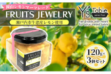 FRUITS JEWELRY 岡山 レモン マーマレード 120g×3個 セット （ 瀬戸内市 牛窓産 レモン使用） ジャム 無添加 皮ごと ビタミン[№5735-1824]