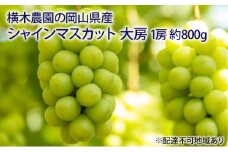 ぶどう 2025年 先行予約 シャイン マスカット 大房1房 約800g 贈答用 ブドウ 葡萄  岡山県産 国産 フルーツ 果物 ギフト 横木農園 [№5735-1636]
