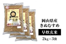 令和6年産 早炊 玄米 きぬむすめ 2kg×3袋 岡山県産　お米 国内産 ご飯 おにぎり お弁当 和食 国産 産地直送 玄米食 玄米の栄養素	[№5735-1857]