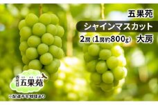 ぶどう 2025年 先行予約 シャインマスカット 2房（1房約800g） 大房 ぶどう フルーツ 果物 贈り物 ギフト 岡山 五果苑 [№5735-1863]