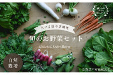 ORGANIC FARM 風の谷 旬 の 野菜 セット 9ヶ月 定期便 （月2回お届けコース） [№5735-1897]