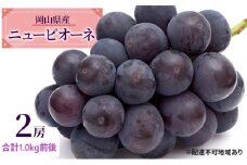 ぶどう 2025年 先行予約 ニュー ピオーネ 2房 合計1.0kg前後 ブドウ 葡萄  岡山県産 国産 フルーツ 果物 ギフト [№5735-1888]