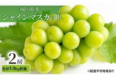 ぶどう 2025年 先行予約 シャインマスカット 晴王 2房 合計1.0kg前後 マスカット ブドウ 葡萄  岡山県産 国産 フルーツ 果物 ギフト [№5735-1893]