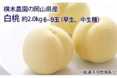 桃 2025年 先行予約 岡山の 白桃 （早生、中生種）約2.0kg 6～9玉 もも モモ 岡山県産 国産 フルーツ 果物 ギフト 横木農園 [№5735-1634]