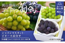 ぶどう 2025年 先行予約 果物 詰合せ シャイン マスカット 1房 ニュー ピオーネ 1房 合計約1.0kg ブドウ 葡萄 岡山県産 国産 フルーツ 果物 ギフト [№5735-1900]