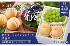 桃 ぶどう 2025年 白桃 晩生種 2玉 シャイン マスカット 1房 合計約1.0kg もも 葡萄 岡山県産 国産 フルーツ 果物 ギフト [№5735-1902]