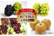 ぶどう 梨 定期便 2025年 先行予約 フルーツ王国 岡山を堪能 4回コース 秋・冬物語 葡萄 ぶどう 梨 なし 岡山県産 国産 果物 セット ギフト  [№5735-1906]