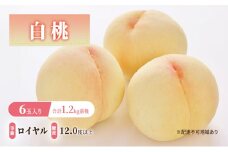 桃 2025年 先行予約 白桃 等級: ロイヤル 糖度12.0度以上 6玉入り 合計1.2kg前後 もも モモ 岡山県産 国産 フルーツ 果物 ギフト [№5735-1908]
