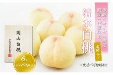 桃 2024年 先行予約 清水 白桃 6玉 （1玉250g以上） 等級：ロイヤル指定／糖度：12度以上 木箱入り もも モモ 岡山県産 国産 フルーツ 果物 ギフト [№5735-1911]