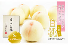 桃 2024年 先行予約 白桃 6玉 （1玉300g以上） 等級：ロイヤル指定／糖度：12度以上 木箱入り 岡山 もも モモ 岡山県産 国産 フルーツ 果物 ギフト [№5735-1913]