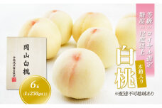 桃 2024年 先行予約 白桃 6玉 （1玉250g以上） 等級：ロイヤル指定／糖度：12度以上 木箱入り 岡山 もも モモ 岡山県産 国産 フルーツ 果物 ギフト [№5735-1914]