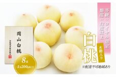 桃 2024年 先行予約 白桃 8玉 （1玉200g以上） 等級：ロイヤル指定／糖度：12度以上 木箱入り 岡山 もも モモ 岡山県産 国産 フルーツ 果物 ギフト [№5735-1915]