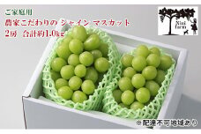 ぶどう 2025年 先行予約 【平均糖度20度】 ご家庭用 農家こだわりの シャイン マスカット 2房 合計約1.0kg ブドウ 葡萄 岡山県産 国産 フルーツ 果物 【 Nini farm 農家 直送 】 [№5735-1947]