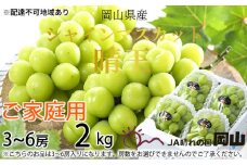 ぶどう 2025年 先行予約 ご家庭用 シャイン マスカット 晴王 3～6房 約2kg ブドウ 葡萄  岡山県産 国産 フルーツ 果物 [№5735-1785]