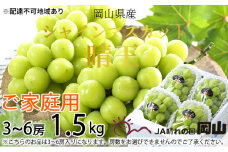 ぶどう 2025年 先行予約 ご家庭用 シャイン マスカット 晴王 3～6房 約1.5kg ブドウ 葡萄  岡山県産 国産 フルーツ 果物 [№5735-1786]