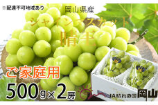 ぶどう 2025年 先行予約 ご家庭用 シャイン マスカット 晴王 約500g×2房 ブドウ 葡萄  岡山県産 国産 フルーツ 果物 [№5735-1787]
