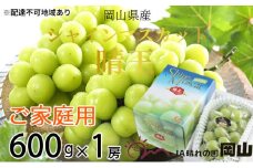 ぶどう 2025年 先行予約 ご家庭用 シャイン マスカット 晴王 約600g×1房 ブドウ 葡萄  岡山県産 国産 フルーツ 果物 [№5735-1789]