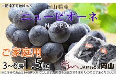 ぶどう 2025年 先行予約 ご家庭用 ニュー ピオーネ 3～6房 約1.5kg ブドウ 葡萄  岡山県産 国産 フルーツ 果物 [№5735-1791]