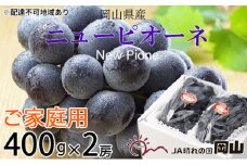 ぶどう 2025年 先行予約 ご家庭用 ニュー ピオーネ 約400g×2房 ブドウ 葡萄  岡山県産 国産 フルーツ 果物 [№5735-1793]