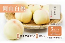 桃 2025年 先行予約 岡山 白桃 5玉（1玉310ｇ以上）等級：ロイヤル指定／糖度：12度以上 木箱入り もも モモ 岡山県産 国産 フルーツ 果物 ギフト [№5735-1925]