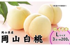 桃 2025年 先行予約 岡山 白桃 ロイヤル 3玉×200g（Lサイズ） 岡山県産 JAおかやまのもも モモ 岡山県産 国産 フルーツ 果物 ギフト  [№5735-1989]