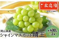 ぶどう 2025年 先行予約 ご家庭用 シャイン マスカット 晴王 約400g×2房 ブドウ 葡萄 岡山県産 国産 フルーツ 果物  [№5735-1993]
