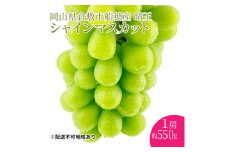 ぶどう 2025年 先行予約 【プレミアムシャインマスカット 晴王 1房 約550g 】船穂産 赤秀品以上 岡山県産 葡萄 ブドウ ギフト ハレノフルーツ 皮ごと食べる みずみずしい[№5735-1957]