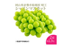 ぶどう 2025年 先行予約 【プレミアムシャインマスカット 晴王 2房 合計約1.3kg 】船穂産 赤秀品以上 岡山県産 葡萄 ブドウ ギフト ハレノフルーツ 皮ごと食べる みずみずしい[№5735-1963]