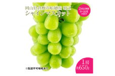 ぶどう 2025年 先行予約 【プレミアムシャインマスカット 晴王 1房 約650g】船穂産 赤秀品以上  定期便 2回 岡山県産 葡萄 ブドウ ギフト ハレノフルーツ 皮ごと食べる みずみずしい[№5735-1965]