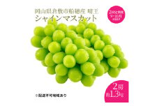 ぶどう 2025年 先行予約 【プレミアムシャインマスカット 晴王 2房 合計約1.3kg 定期便 2回】船穂産 赤秀品以上 岡山県産 葡萄 ブドウ ギフト ハレノフルーツ 皮ごと食べる みずみずしい[№5735-1967]