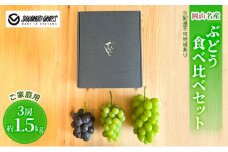 岡山名産 ぶどう 食べ比べ 詰合せ セット 3房 約1.5kg ご家庭用 ブドウ 葡萄 岡山県産 国産 フルーツ 果物 ギフト sakamoto grapes [№5735-1980]