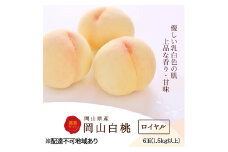 桃 2025年 先行予約 白桃 6玉 (1.5kg以上) 等級：ロイヤル 化粧箱入り もも モモ 岡山県産 国産 フルーツ 果物 セット ギフト [№5735-2001]