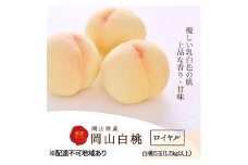 桃 2025年 先行予約 白桃 5玉 (1.5kg以上) 等級：ロイヤル 木箱入り もも モモ 岡山県産 国産 フルーツ 果物 セット ギフト [№5735-2003]
