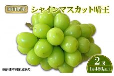 ぶどう 2025年 先行予約 シャインマスカット晴王2房(1房480g以上) 化粧箱入り ブドウ 葡萄 岡山県産 国産 フルーツ 果物 ギフト[№5735-2008]