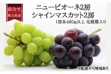 ぶどう 2025年 先行予約 詰合/ニューピオーネ2房(1房480g以上)・シャインマスカット晴王2房(1房480g以上)　化粧箱入り ブドウ 葡萄 岡山県産 国産 フルーツ 果物 ギフト [№5735-2011]