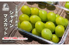 シャインマスカット 粒タイプ 1080g(270g×4パック) ブドウ 葡萄 岡山県 国産 フルーツ 果物 ギフト 正金農園より 直送 栽培期間中 農薬節減 [№5735-2020]