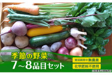 季節の野菜 7～8品目 セット 栽培期間中 無農薬 化学肥料不使用 旬 野菜 岡山 [№5735-2019]