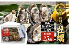 牡蠣 殻付き 小粒牡蠣 25個 お徳用 約3kg 岡山県 瀬戸内市 [№5735-2034]