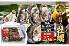 牡蠣 殻付き 小粒牡蠣 お徳用 約3kg 岡山県 瀬戸内市 [№5735-2034]