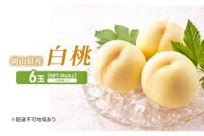 桃 2025年 先行予約 岡山白桃 6玉 (1.6kg以上) 化粧箱入り もも モモ 岡山県産 国産 フルーツ 果物 セット ギフト [№5735-2040]